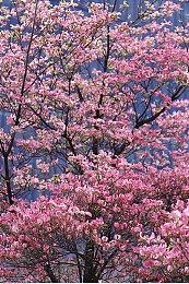 《节奏裂隙》宣布2025年2月6日登陆Steam 主机版延期推出